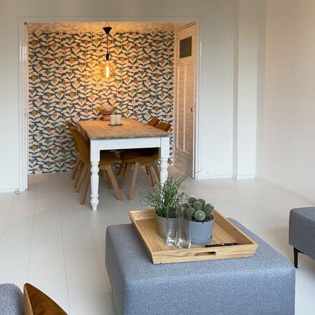 Douwes Dekker Sympathiek brede plank Koriander 05038