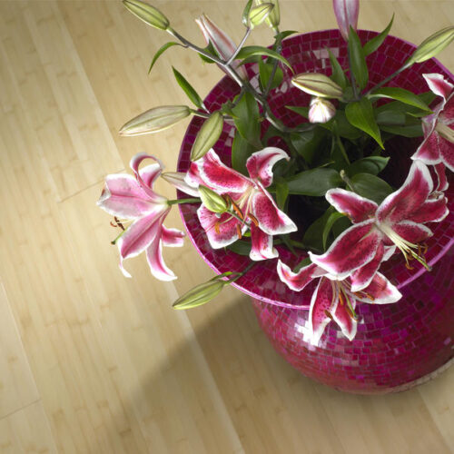 20060917-04_F_HR_PPN_2 Bamboo Elite Plain Pressed Ecru